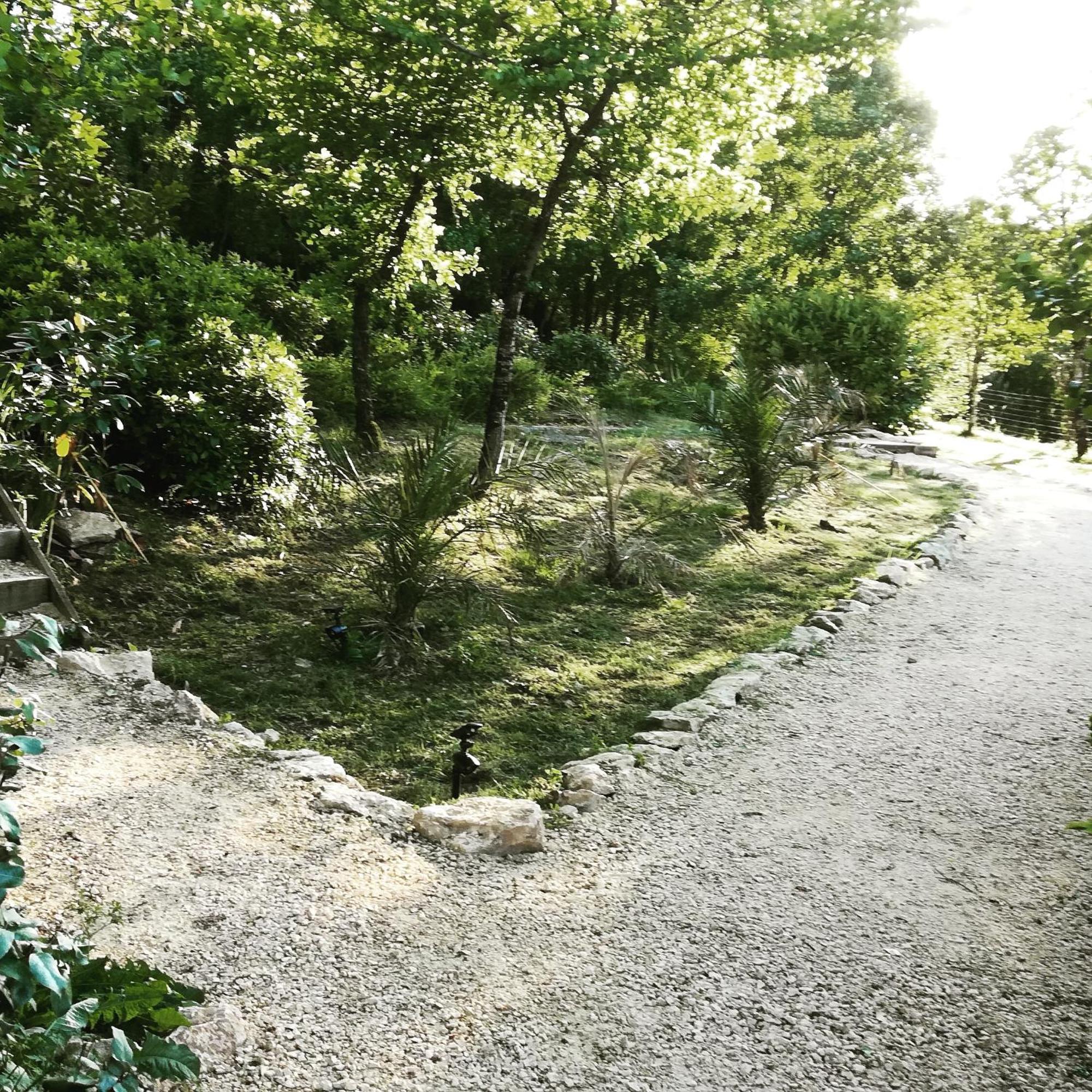 La Source Bed & Breakfast Saint-Cybranet Exterior photo